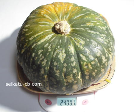 大きなかぼちゃ1個の重さは2400.7g