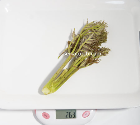 りん片を取ったタラの芽（特大）1本の重さは26.3g