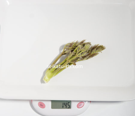 りん片を取ったタラの芽（大）1本の重さは14.5g