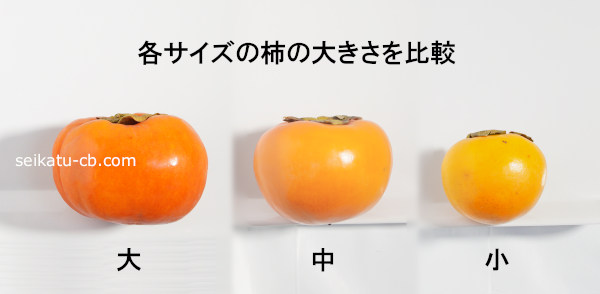 各サイズの柿1個の大きさ比較