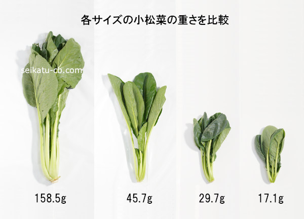 小松菜1株を大・中・小・極小の順に並べて重さを比較