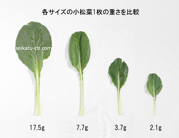 小松菜1枚を大・中・小・極小の順に並べて重さを比較