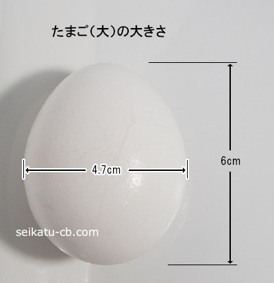 大きな卵1個の大きさ