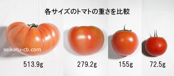 特大・大・中・小サイズのトマトの重さを比較