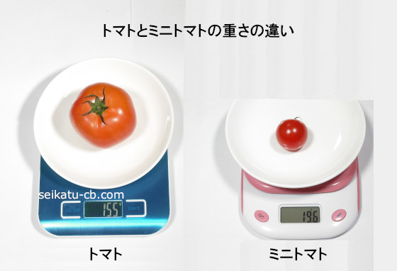 トマトとミニトマトの重さの違い