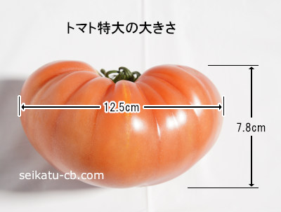 トマト特大1個の大きさ