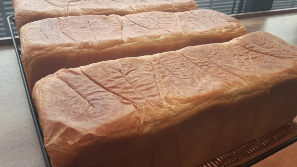 �ѷ��ο��ѥ�1��