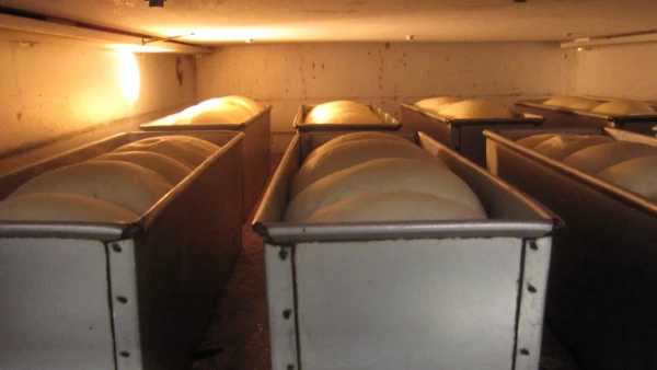 ������������ƾƤ��Ƥ��뻳���ο��ѥ�