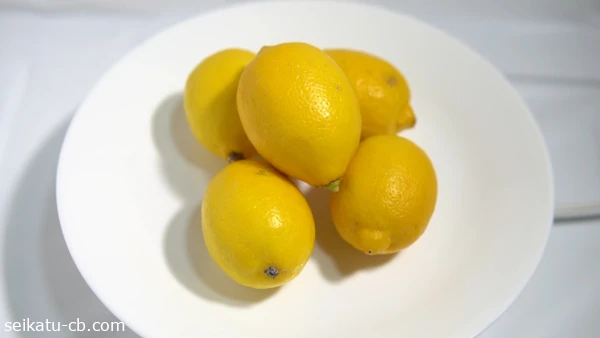 �������ȥ�ꥢ���Υ���