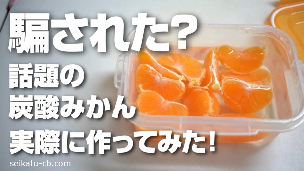 �٤��줿�������ú���ߤ���ºݤ˺�äƤߤ���ճ��ʷ�̤ˡ�