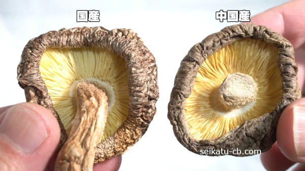 ���ȹ񻺤δ���������΢¦�����