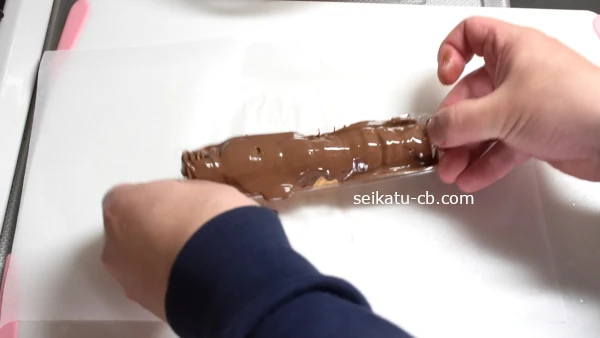 �ץ�Υ��������äƥȥ�ȥ�Ȥ��ƥ��祳����ޤǤ��߹��ޤ���