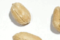 ピーナッツの重さは1個・1粒で何グラム、大きさやカロリーは？
